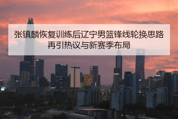 张镇麟恢复训练后辽宁男篮锋线轮换思路再引热议与新赛季布局
